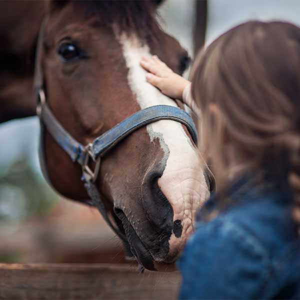 Young girl in jean jacket petting a friendly horse